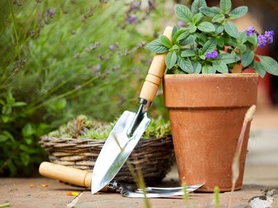 Gartenzubehör wie Schaufel und Tops